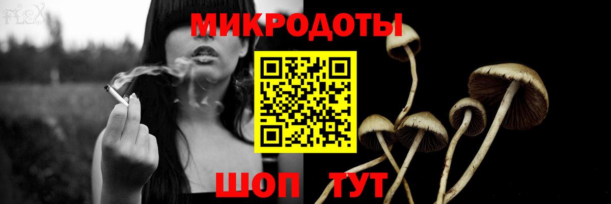 Торжок  Галлюциногенные грибы Cubensis  Вход с VPN 